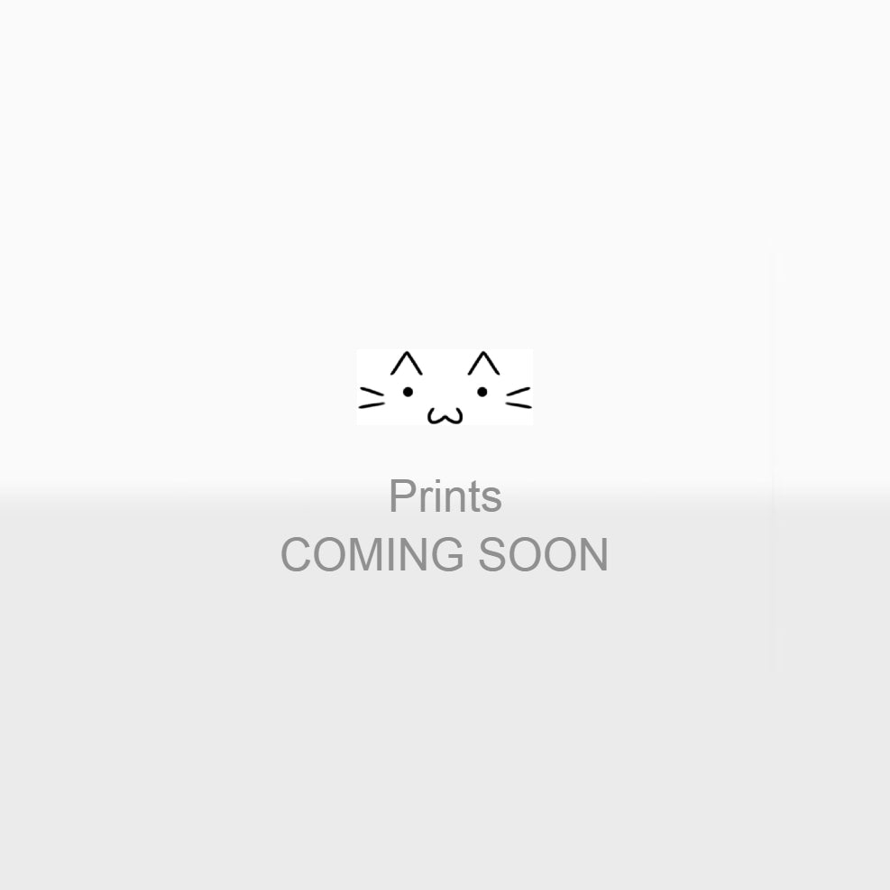 Placeholder Image 1